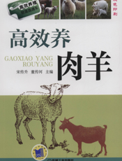 高效养肉羊
