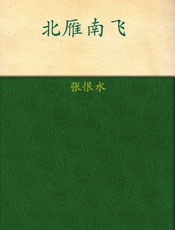 北雁南飞