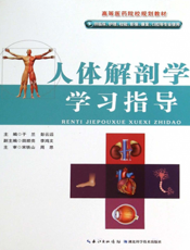 人体解剖学学习指导