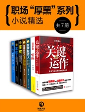 政商规则与谋略：中国官场小说系列（《关键运作》《官路》《金牌投资人》《金牌投资人2》《掌舵》《掌舵2》《舵手》）（赢得千万读者口碑推荐、考验你双商的政商大戏，不容错过！） - 许开祯，龙在宇等