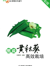 图说黄秋葵高效栽培（全彩版）