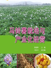 马铃薯栽培与产业化经营 - 陈建林