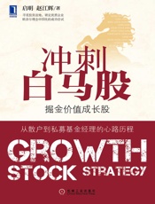 冲刺白马股 - 启明 赵江辉