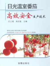 日光温室番茄高效安全生产技术