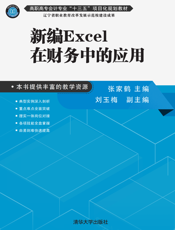 新编Excel在财务中的应用