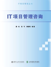 IT项目管理咨询
