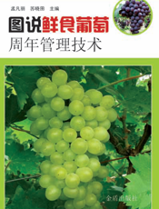 图说鲜食葡萄周年管理技术