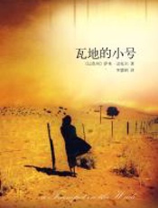 瓦地的小号 - 萨米-迈克尔