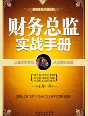 财务总监实战手册