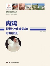 肉鸡规模化健康养殖彩色图册