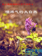 史上超有趣的十万个为什么——怪脾气的大自然