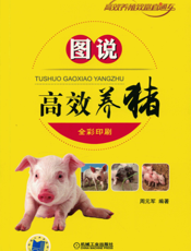 图说高效养猪