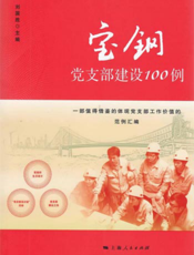 宝钢党支部建设100例