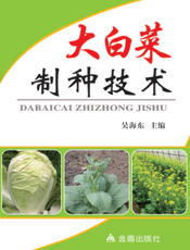 大白菜制种技术