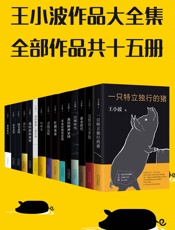 王小波真正大全集