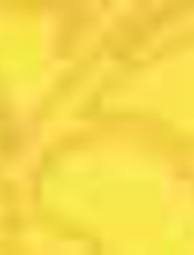 机关中的机关_12814718