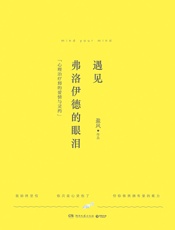 遇见弗洛伊德的眼泪：心理治疗师的爱情与灵药