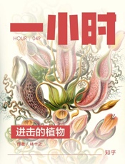 林十之@知乎-(HOUR_049)进击的植物